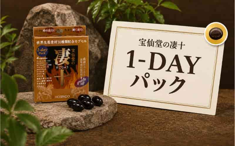 凄十 効果ない 1dayパック