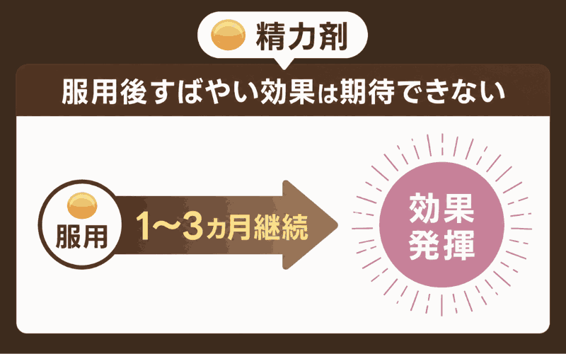 精力剤　おすすめ　効果