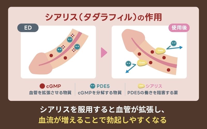 シアリス 通販 レバクリ