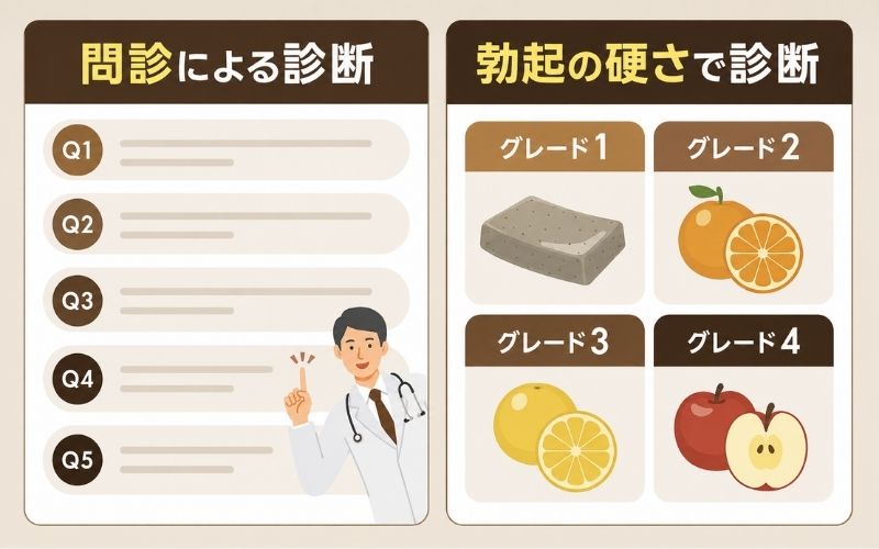 勃起力 判断の目安 問診 勃起の硬さ