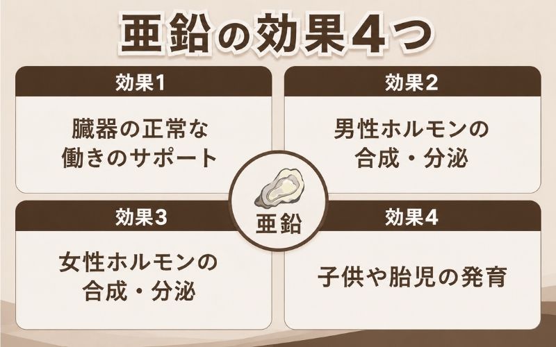 亜鉛　効果