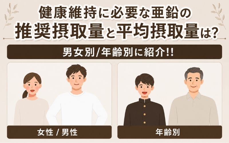 亜鉛 推奨摂取量 平均摂取量 男女別 年齢別