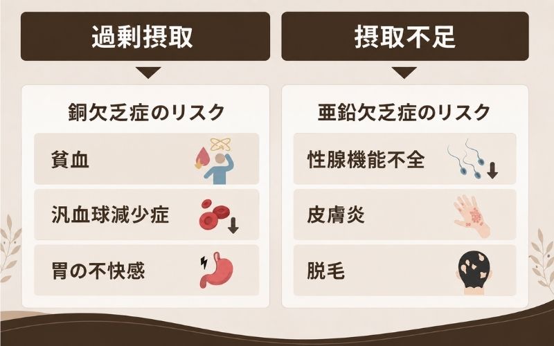 亜鉛 過剰摂取 摂取不足 健康への影響