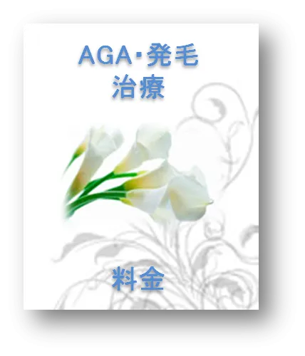 AGA/発毛治療