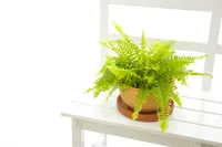 ほくろ治療の方法と美容効果